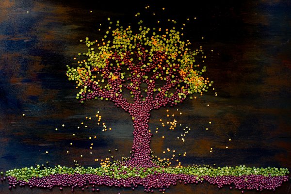 Comment organiser une cuisine pour accueillir des repas à base de plantes?